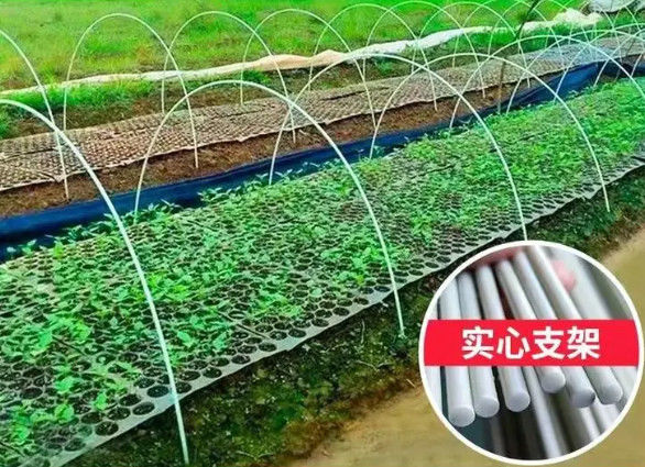 la fibra de 10m m reforzó el establecimiento plástico de la casa verde de Rod Flexible Fiberglass Rods For