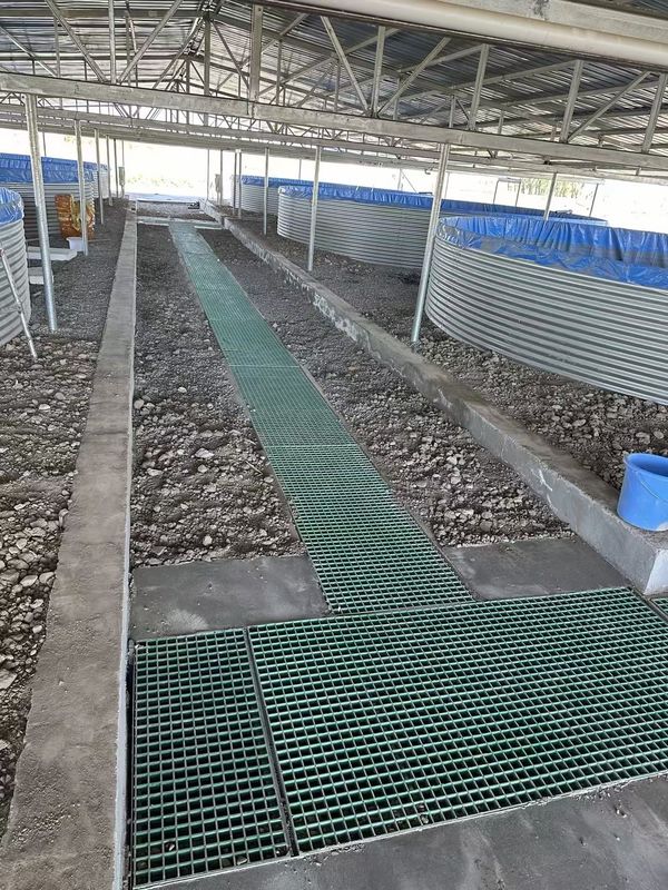 La pasarela o plataforma de rejilla de FRP de la granja de peces se puede personalizar para tamaño y color