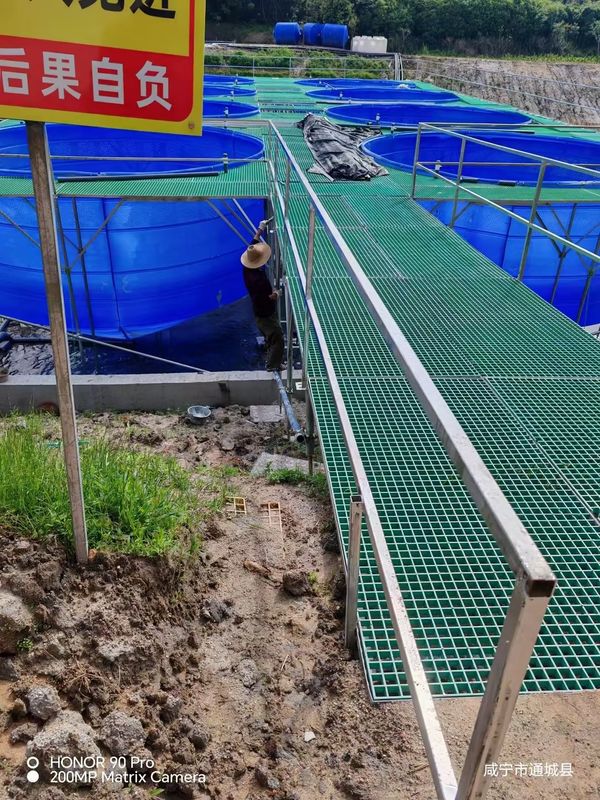 La pasarela o plataforma de rejilla de FRP de la granja de peces se puede personalizar para tamaño y color
