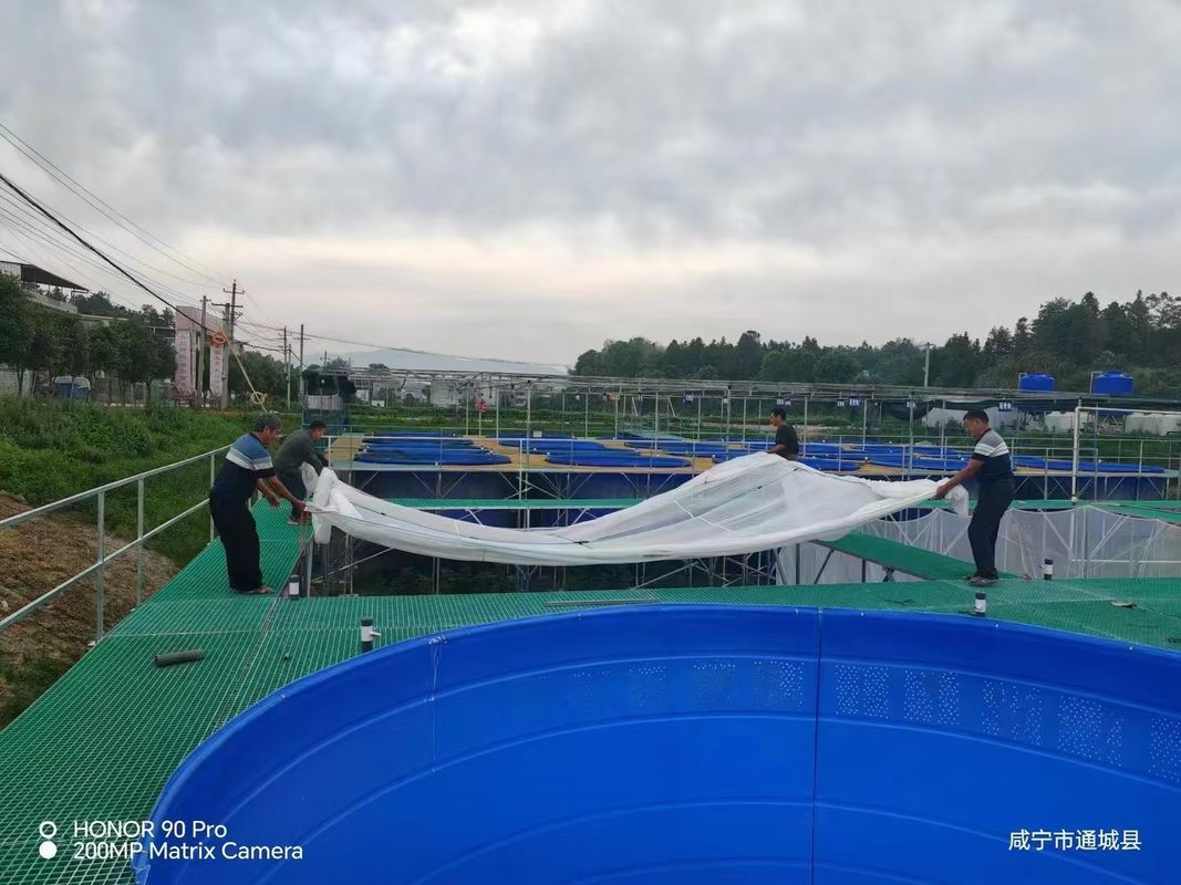La pasarela o plataforma de rejilla de FRP de la granja de peces se puede personalizar para tamaño y color